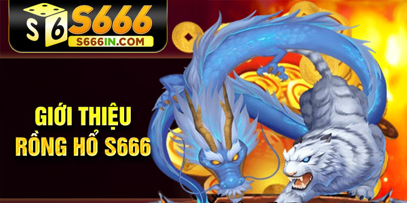 Giới thiệu rồng hổ S666 Giới thiệu rồng hổ S666