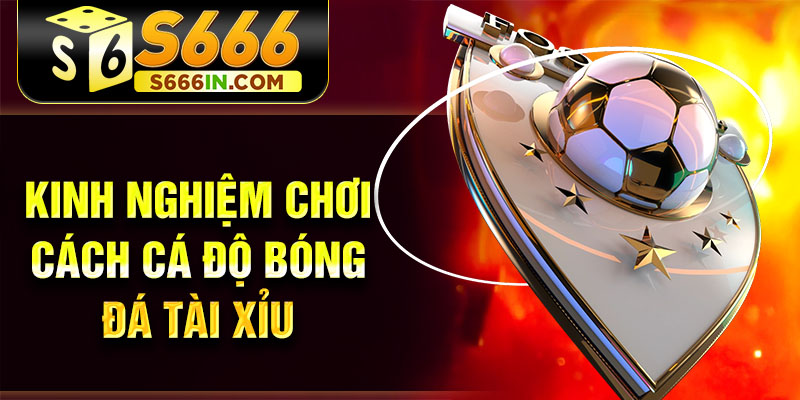 Kinh nghiệm chơi cách cá độ bóng đá tài xỉu Kinh nghiệm chơi cách cá độ bóng đá tài xỉu