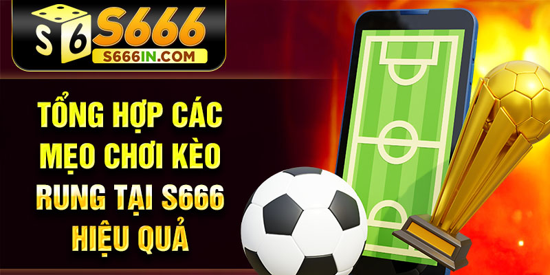 Tổng hợp các mẹo chơi kèo rung tại S666 hiệu quả Tổng hợp các mẹo chơi kèo rung tại S666 hiệu quả